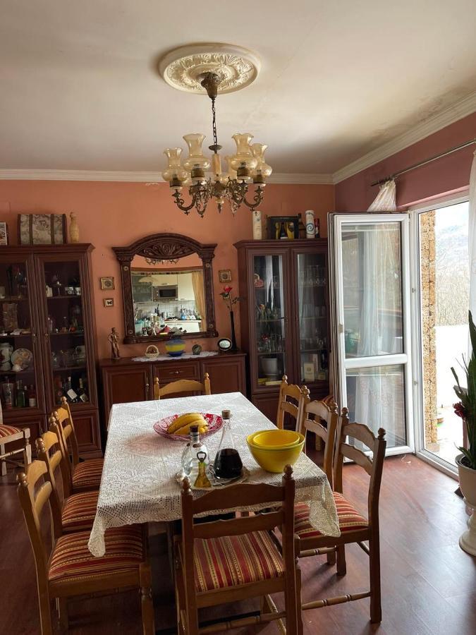 Guesthouse Petrovic 威尔帕扎 外观 照片